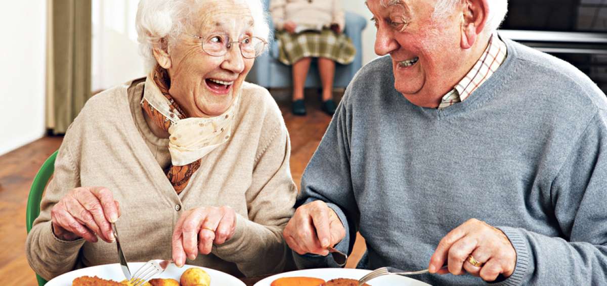 A lo largo de la vida, la nutrici&oacute;n juega un papel fundamental en el crecimiento y el desarrollo.