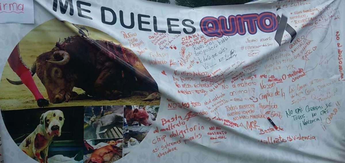 Antitaurinos firman un manifiesto gigante a favor de la vida