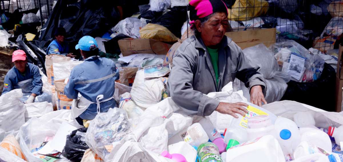 En la capital existen alrededor de 3 mil recicladores. Ellos separan botellas, envases y fundas pl&aacute;sticas, adem&aacute;s de cartones.