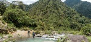 La zona del Choc&oacute; Andino es un &aacute;rea con diversidad de especies vegetales y animales que ocupa el 30,31% del territorio de Pichincha.
