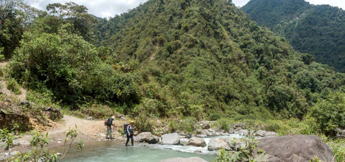 La zona del Choc&oacute; Andino es un &aacute;rea con diversidad de especies vegetales y animales que ocupa el 30,31% del territorio de Pichincha.