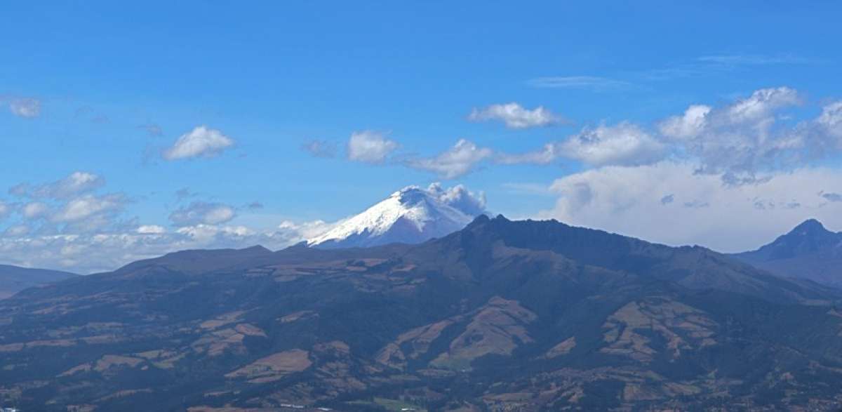 Foto: Archivo / El Tel&eacute;grafo