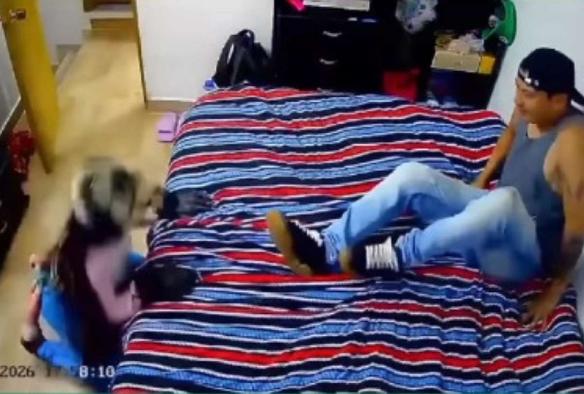 Un video desat&oacute; las cr&iacute;ticas sobre la intimidad de los therians. 