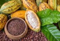 El cacao es uno de los principales productos de exportación a Estados Unidos.