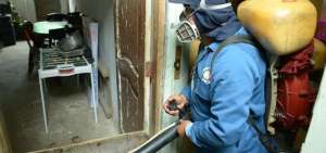 2.760 casas recibir&aacute;n fumigaciones y larvicidas para combatir los vectores