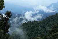 Ecuador mostrará su liderazgo climático en la COP 28
