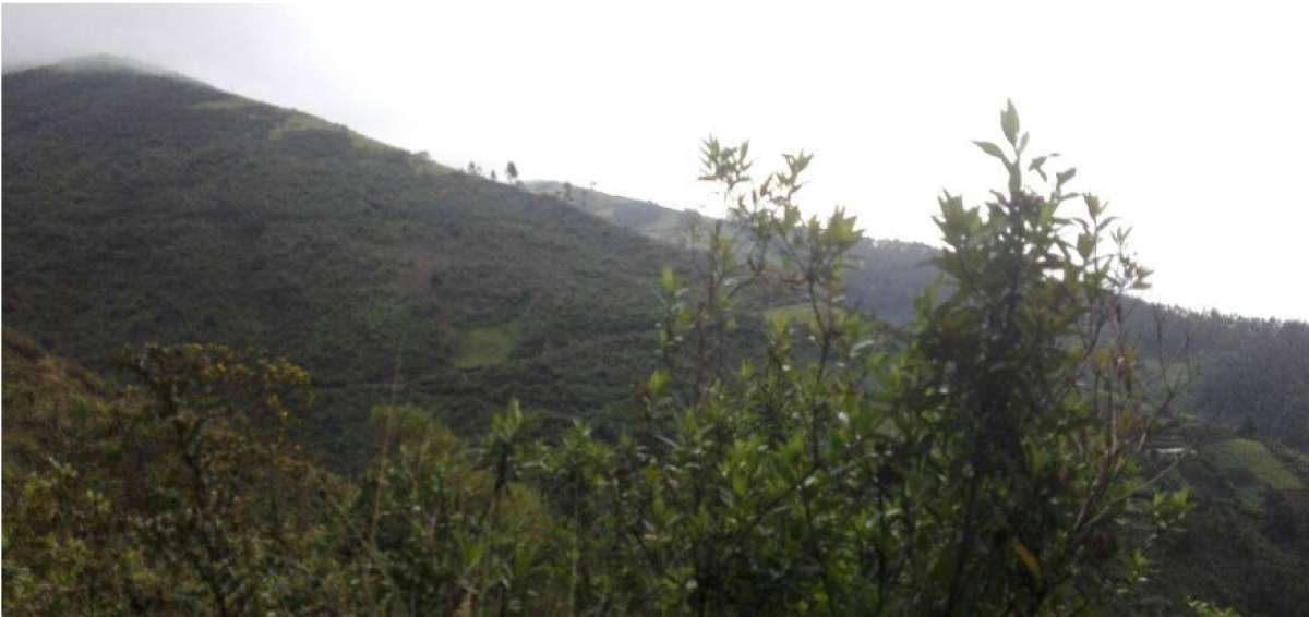 12 personas fueron rescatadas en el cerro Ung&uuml;&iacute;, en Quito