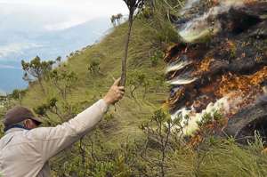 Los pajonales dentro de los p&aacute;ramos naturales son m&aacute;s propensos a las quemas provocadas. Foto: Elizabeth Maggi / para El Tel&eacute;grafo