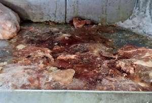 Un local de venta de carnes fue clausurado por insalubridad. 