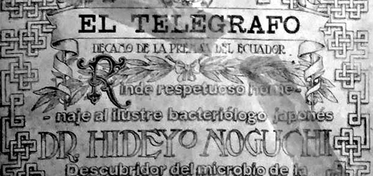 Gr&aacute;fica del pergamino dedicado al prestigioso Dr. Hideyo Noguchi