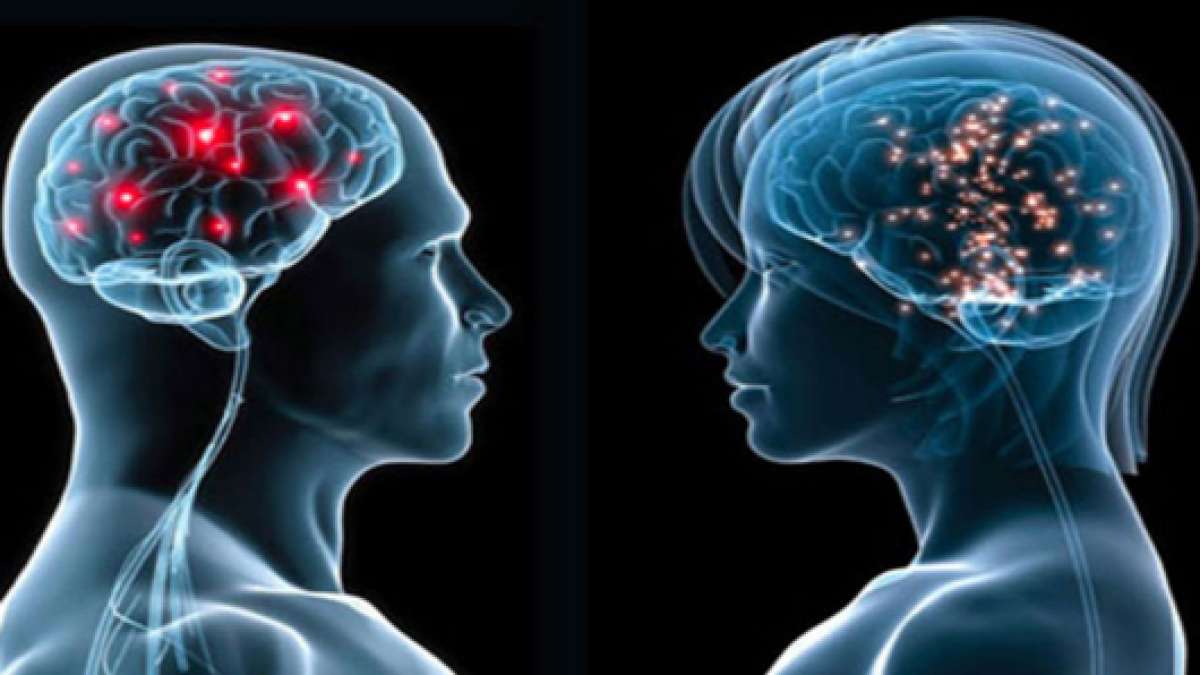 &iquest;El hombre tiene un cerebro m&aacute;s grande que la mujer?