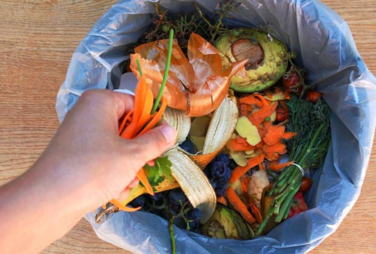 El desperdicio de alimentos se da desde la producción hasta el consumo en la mesa en Ecuador. Conozca la alarmante cifra de pérdida de comida en Quito.