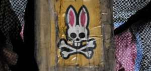La coca&iacute;na camuflada en bloques, con el s&iacute;mbolo de la calavera, fue decomisada durante el operativo que desarticul&oacute; una red de narcos.