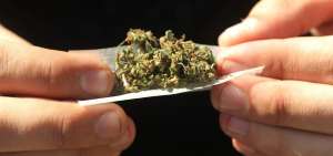 La Secretar&iacute;a T&eacute;cnica contra las Drogas, la marihuana era una de las sustancias de mayor consumo en los j&oacute;venes.