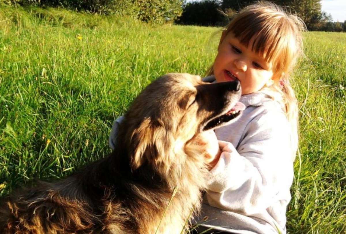 Dos niños se reencuentran con su mascota luego de dos meses de estar desaparecida