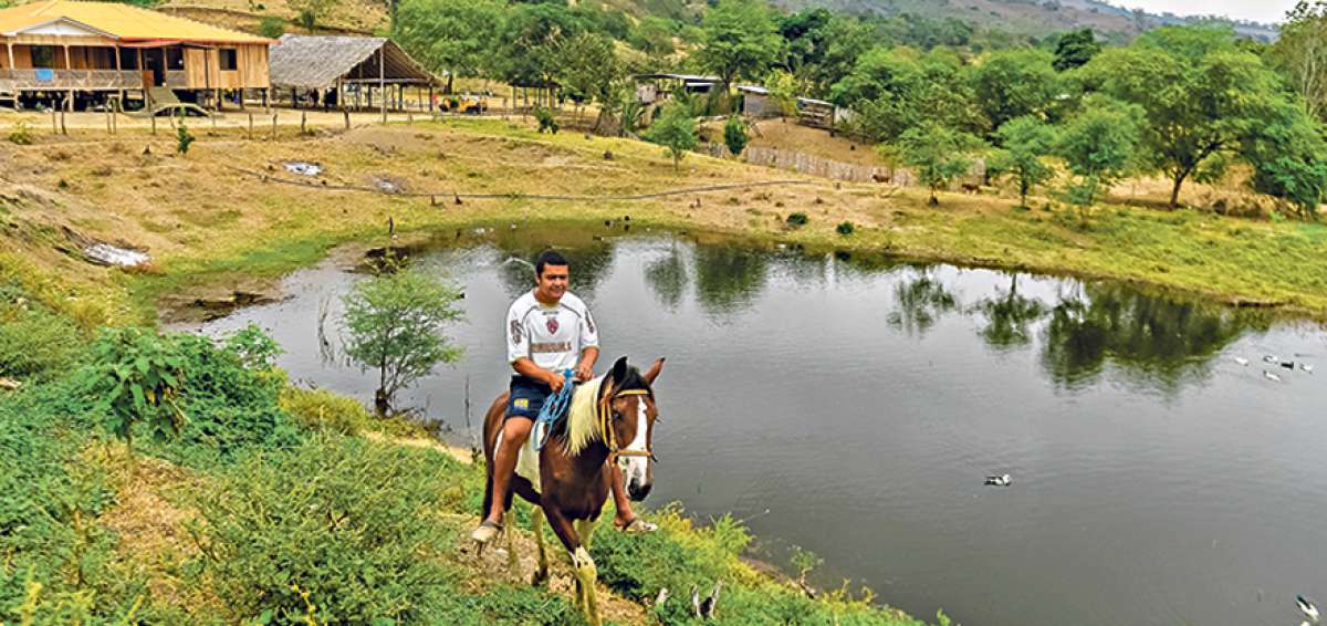 En la comuna Danzar&iacute;n, del cant&oacute;n Rocafuerte, en el centro de Manab&iacute;, las albarradas son parte fundamental del desarrollo de la actividad ganadera y agr&iacute;cola. Ah&iacute; se acopia el agua de invierno. 