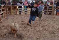El  juego del cerdo encebado y el maltrato a los animales
