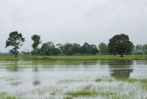 Inundaci&oacute;n en Babahoyo: SNGR reporta desbordamiento del r&iacute;o y seguimiento permanente