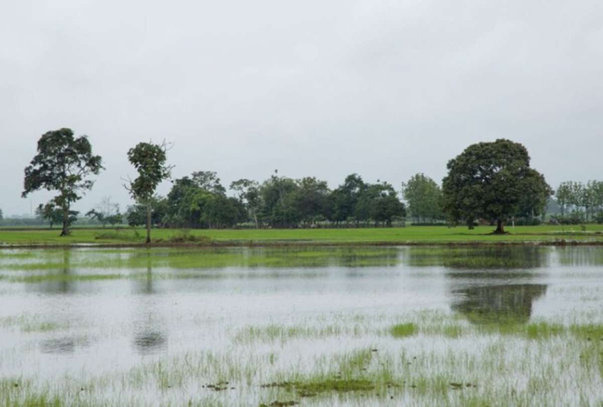 Inundaci&oacute;n en Babahoyo: SNGR reporta desbordamiento del r&iacute;o y seguimiento permanente