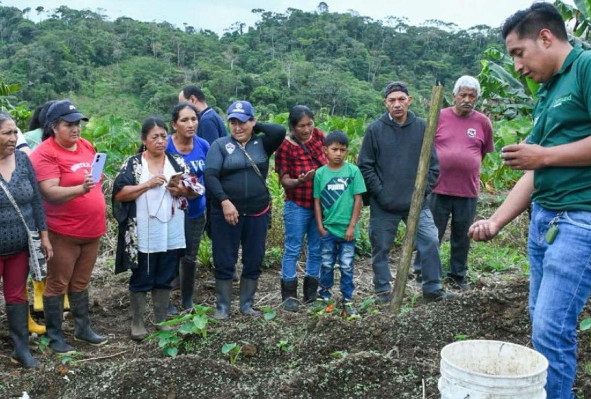 Agricultores de Manabí y otras provincias reciben insumos. 