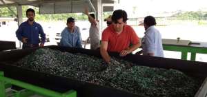 Antes de entrar a la m&aacute;quina de termoformado, la materia prima reciclada es clasificada y triturada. Los tableros sint&eacute;ticos se producen mezclando pl&aacute;sticos de alta y baja densidad.
