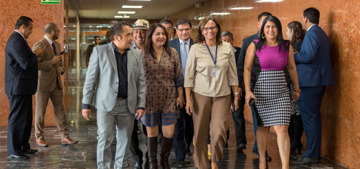 La legisladora por Pichincha Elizabeth Cabezas (centro) acude a la rueda de prensa en que se oficializ&oacute; su candidatura a la Asamblea acompa&ntilde;ada de sus coidearios de Alianza PAIS. Ellos est&aacute;n a favor de la reestructuraci&oacute;n del Legislativo.