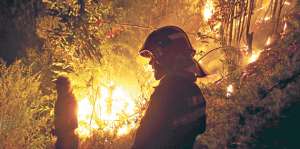 Durante el verano, los incendios forestales son frecuentes. Por eso hay que respetar los bosques. Foto: Regional Norte / El Tel&eacute;grafo