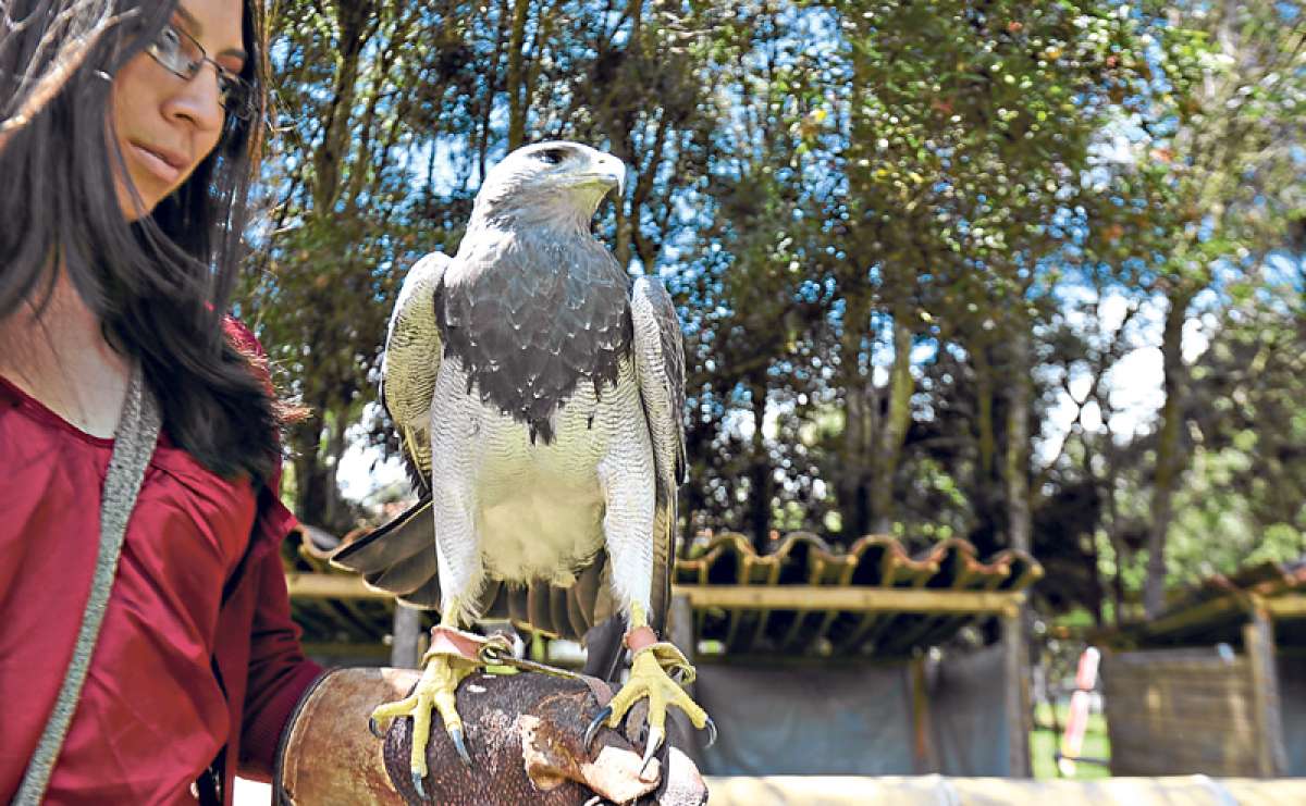 Foto: Fernando Machado/ El Tel&eacute;grafo
