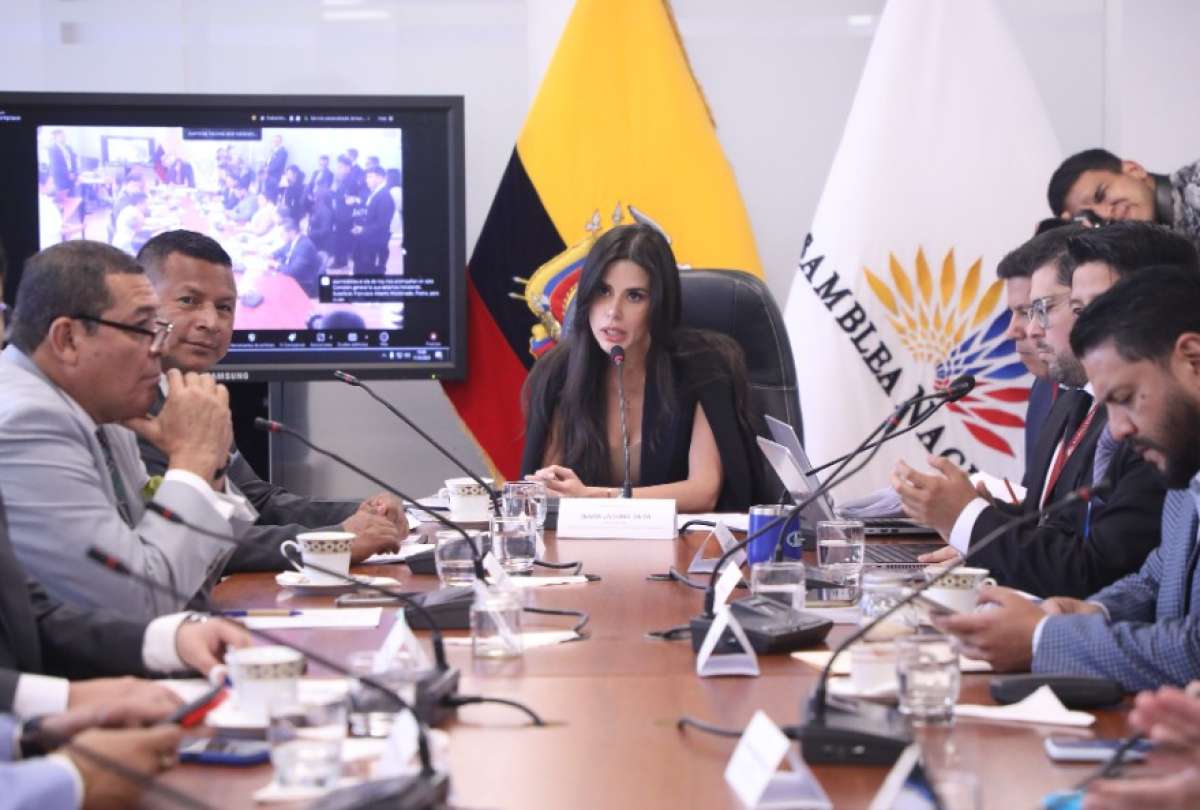 Diana Jácome señaló que la fiscalización no le corresponde a la Comisión de Garantías Constitucionales, de mayoría correísta.