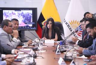 Diana Jácome señaló que la fiscalización no le corresponde a la Comisión de Garantías Constitucionales, de mayoría correísta.