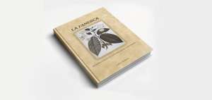 Tradiciones de la gastronom&iacute;a ecuatoriana se difunden en libro sobre la fanesca