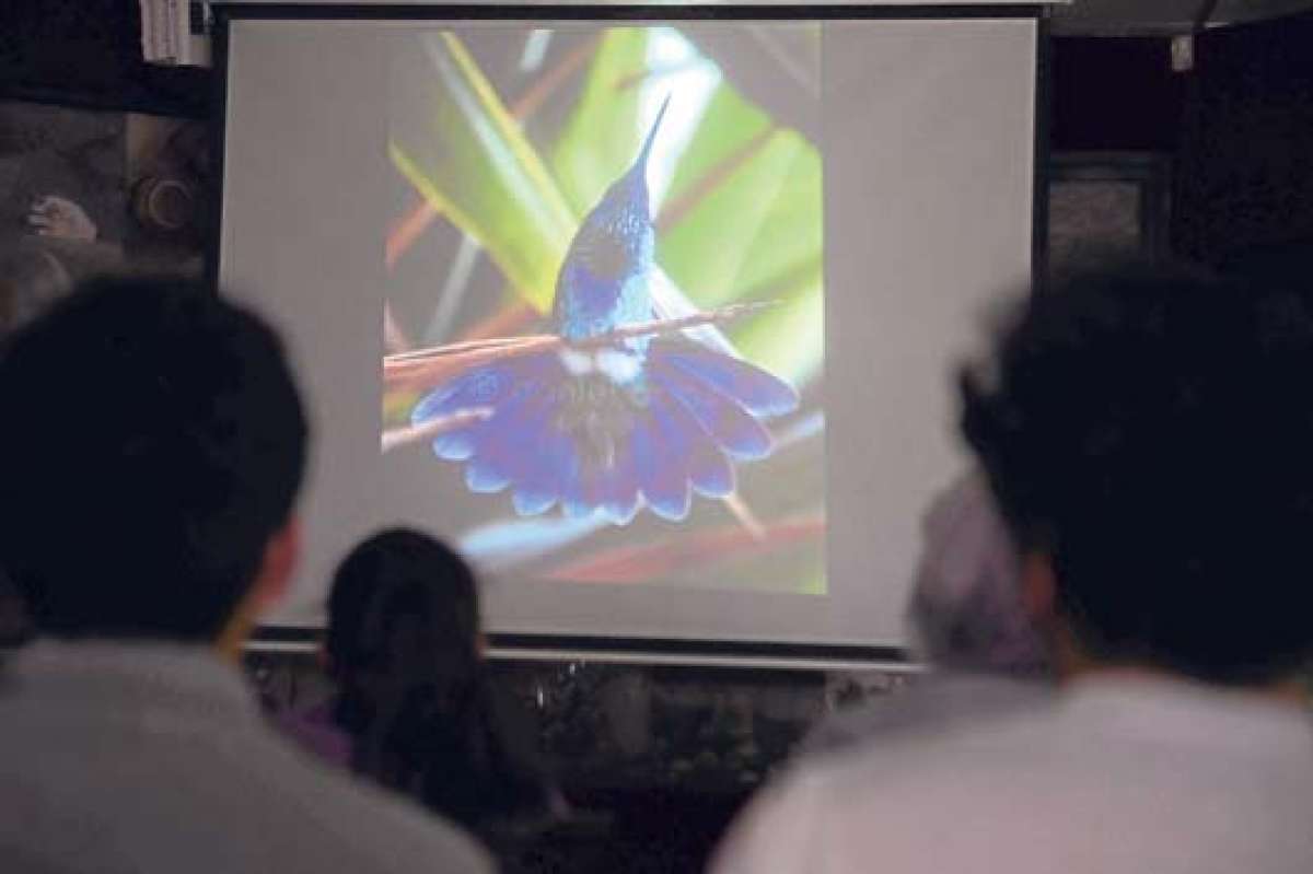 La comunidad aviaria del pa&iacute;s ya tiene sus observadores