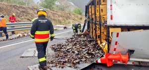 Bomberos atendieron la emergencia en la Ruta Collas.
