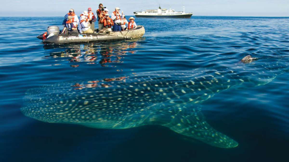TOMADO DE www.visitecuador.travel