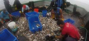 Los pescadores fueron detenidos por no cumplir las normas de pesca.