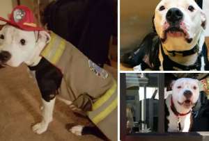 Jake fue rescatado de un incendio y hoy es s&iacute;mbolo de esperanza en su comunidad.