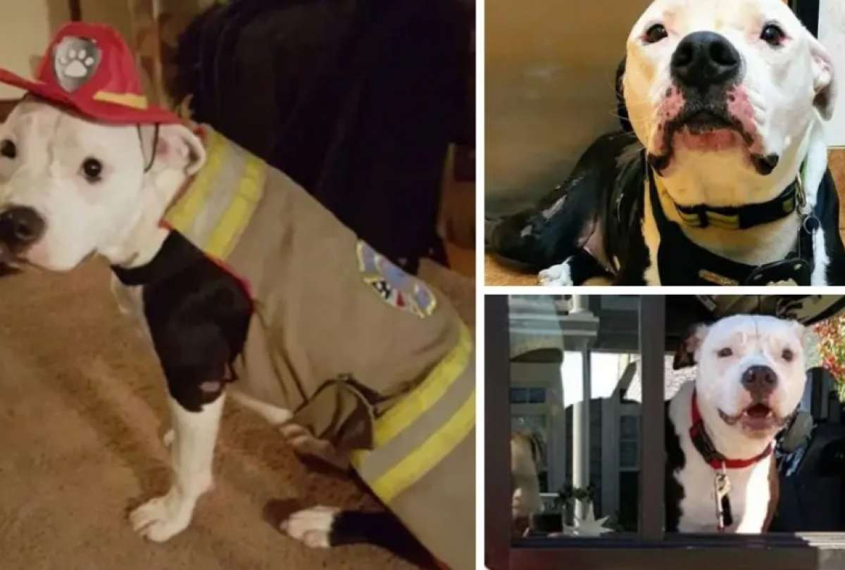 Jake fue rescatado de un incendio y hoy es s&iacute;mbolo de esperanza en su comunidad.