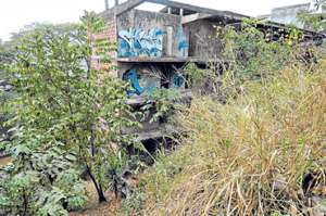 Muchos j&oacute;venes se acercan a Cimas del Bim Bam Bum para constatar leyendas de &lsquo;fantasmas&rsquo;. Foto: Miguel Castro / El Tel&eacute;grafo