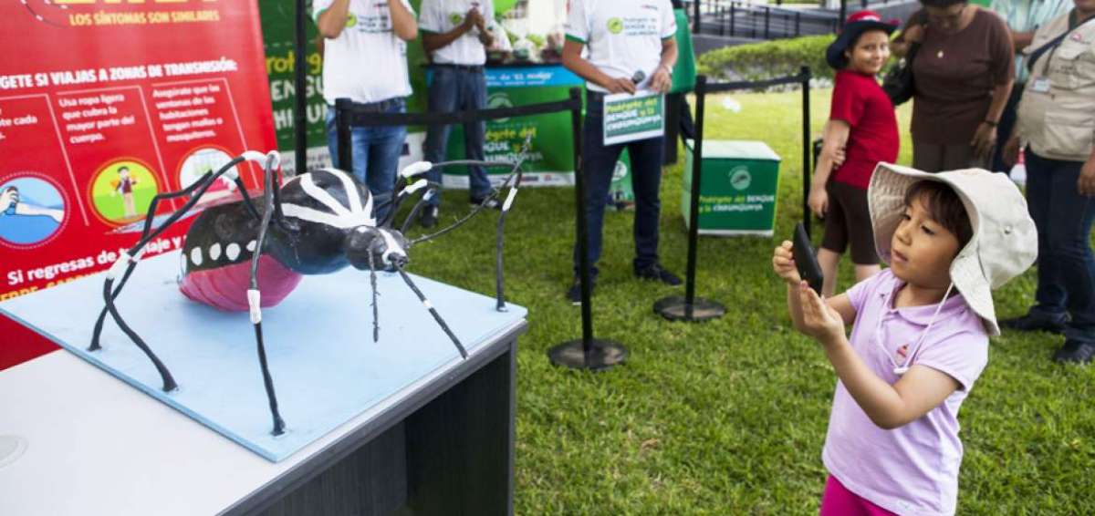 Las autoridades lime&ntilde;as y de Am&eacute;rica Latina saben que las armas contra el zika son la informaci&oacute;n correcta sobre el mosquito y c&oacute;mo prevenir picaduras.
