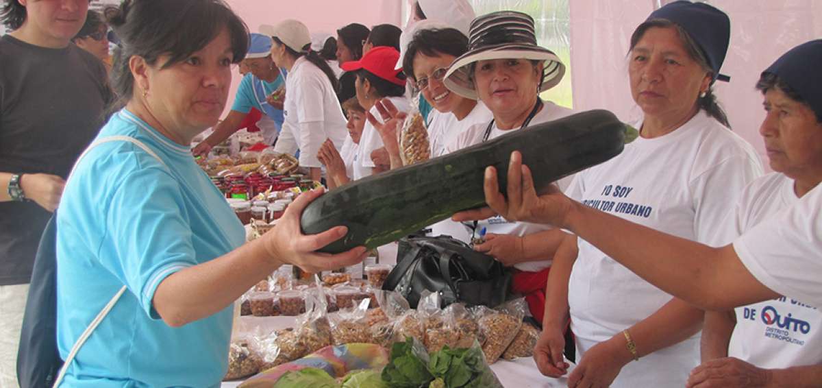 La organizaci&oacute;n de bioferias por parte del Municipio contribuye a facilitar la venta de los huertos caseros.