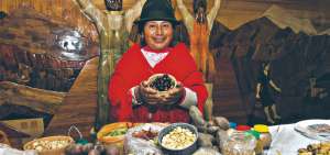 Camote, oca, quinua, entre otros productos ancestrales, son los ingredientes de las recetas que contiene el libro 'De la Granja a la Olla'. 