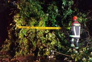 Deslizamientos y caída de un árbol en la vía Calacalí - La Independencia