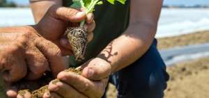 Innovaci&oacute;n, la nueva ruta de crecimiento para la agricultura ecuatoriana