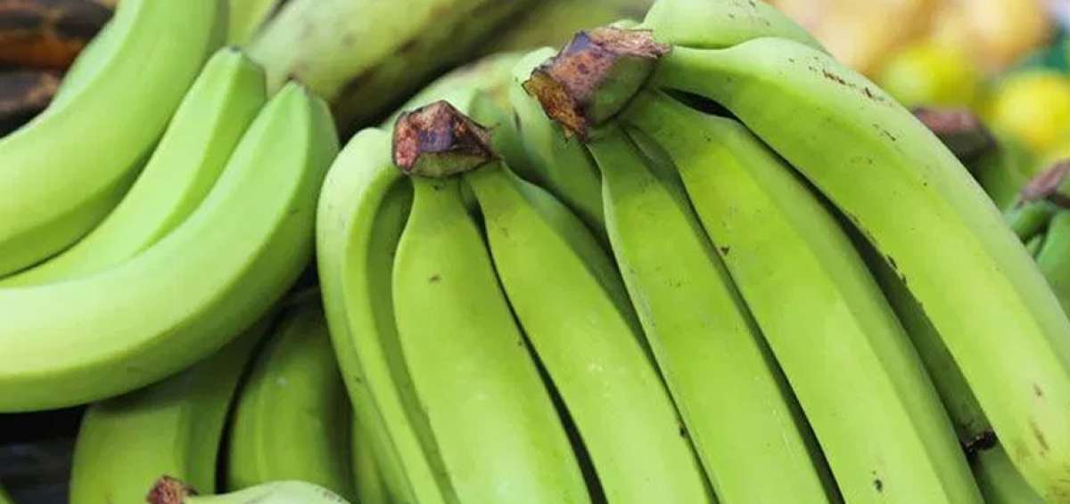 La demanda de pl&aacute;tano disminuy&oacute; en febrero