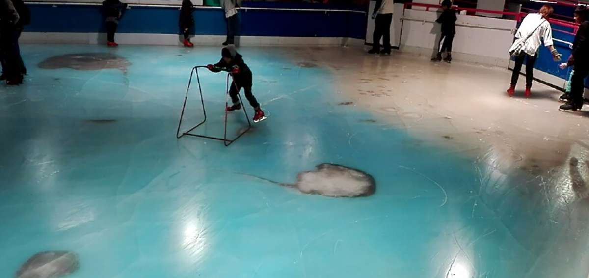 El hielo ser&aacute; ahora fundido, una operaci&oacute;n que podr&iacute;a tomar una semana.