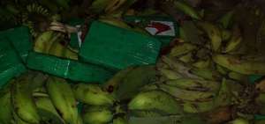 Polic&iacute;a decomisa 300 kilos de coca&iacute;na escondidos en carga de pl&aacute;tano