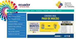 Turnero web de la ANT emiti&oacute; 21.316 turnos en los primeros tres d&iacute;as