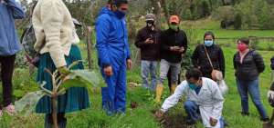 1.500 &aacute;rboles se sembraron en dos comunidades azuayas
