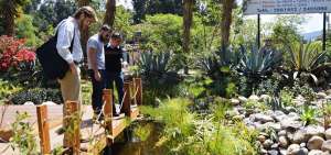 Estos espacios de los anfibios permiten tambi&eacute;n recuperar las riberas de los r&iacute;os y las quebradas en Cuenca.