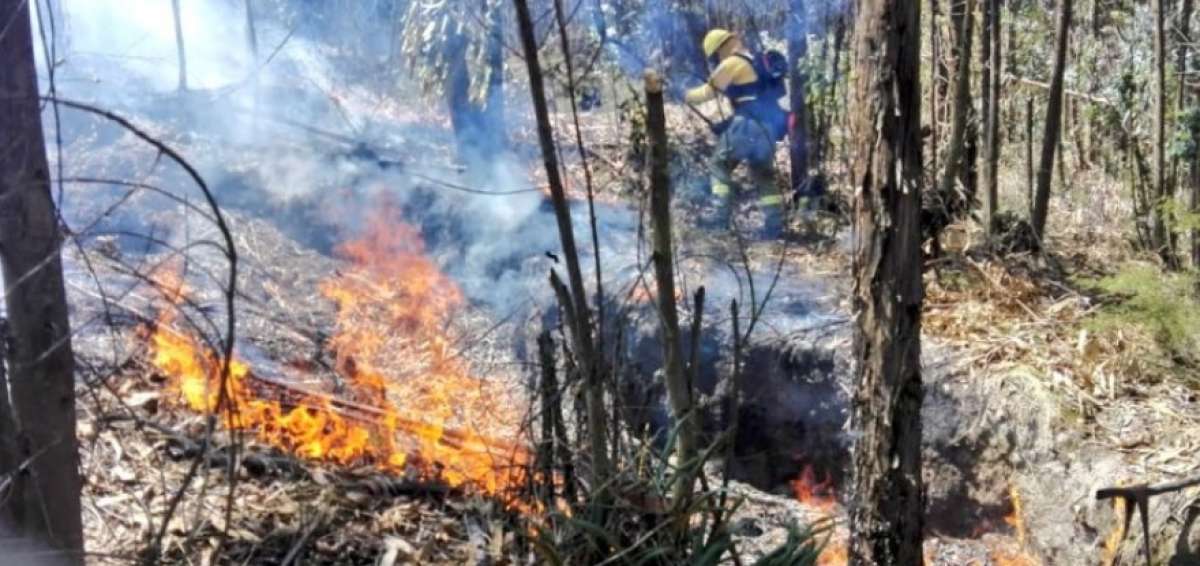 Quito soporta incendios forestales en varios sectores